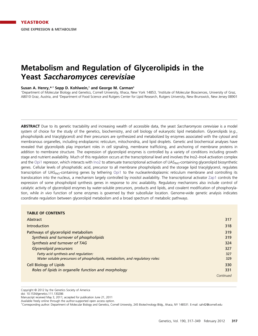 Bowling blæse hul vagabond PDF) Metabolism and Regulation of Glycerolipids in the Yeast Saccharomyces  cerevisiae