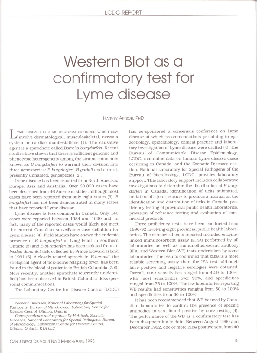 lyme disease western blot