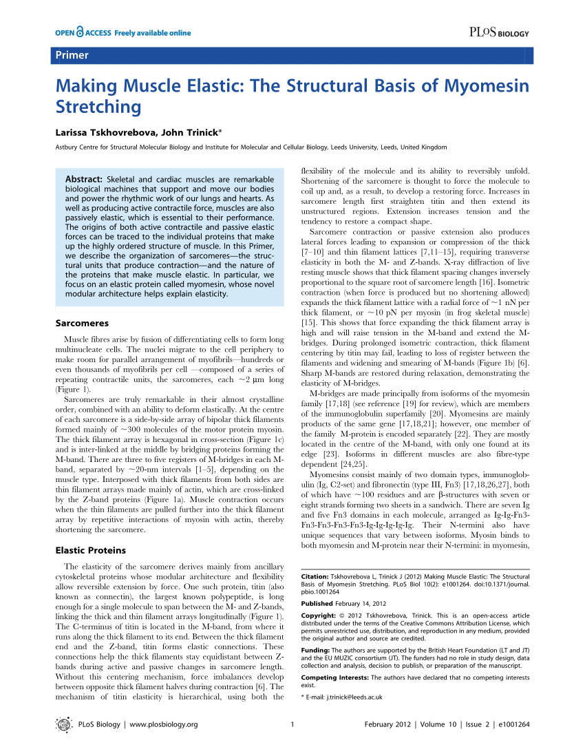 What's the Difference Between Elastic and Structural Stretch?