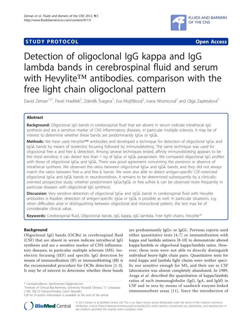 Mosque Applying Distinction PDF) Detection of oligoclonal IgG kappa and IgG lambda bands in  cerebrospinal fluid and serum with Hevylite™ antibodies. Comparison with  the free light chain oligoclonal pattern
