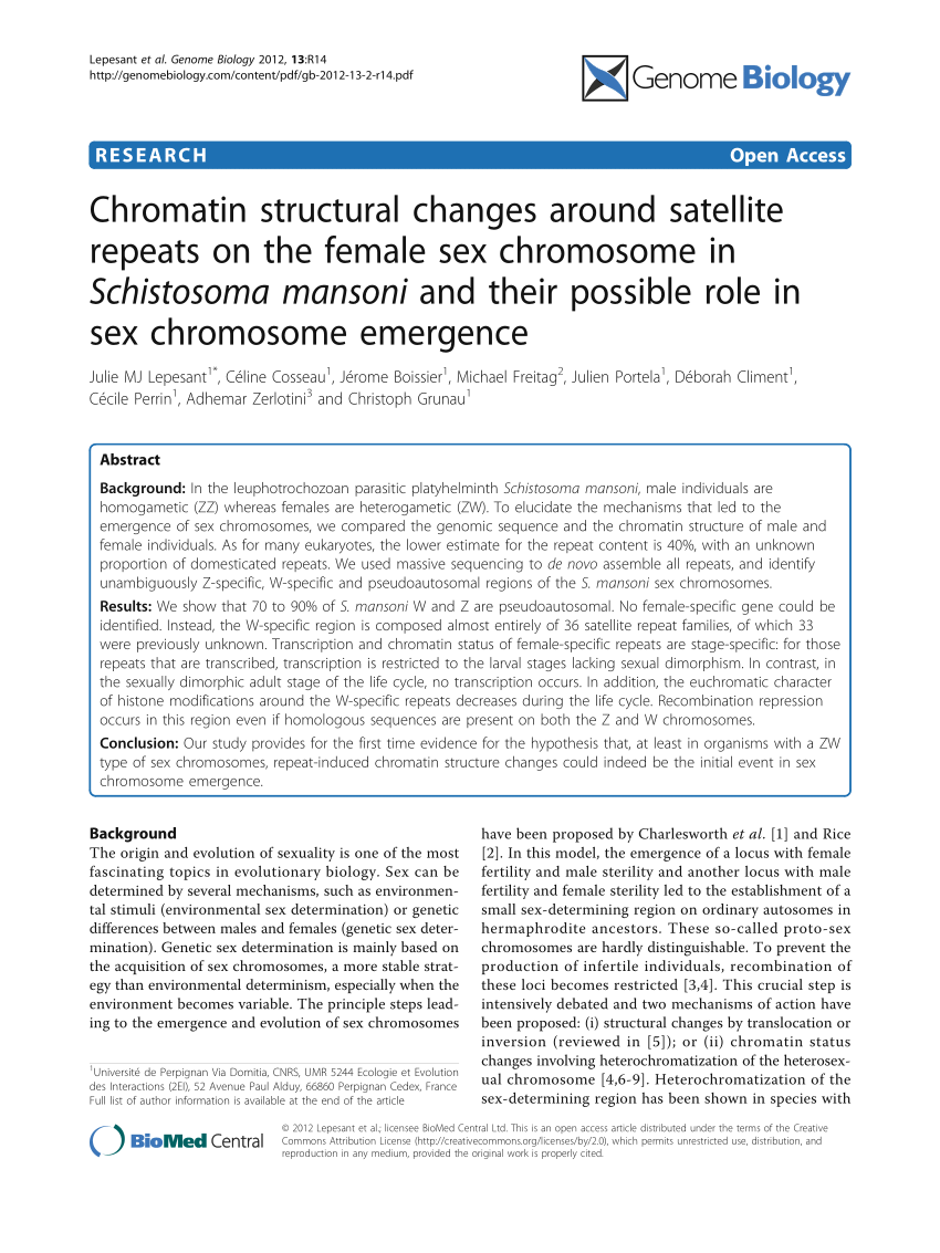 PDF) Chromatin structural changes around satellite repeats on the ...