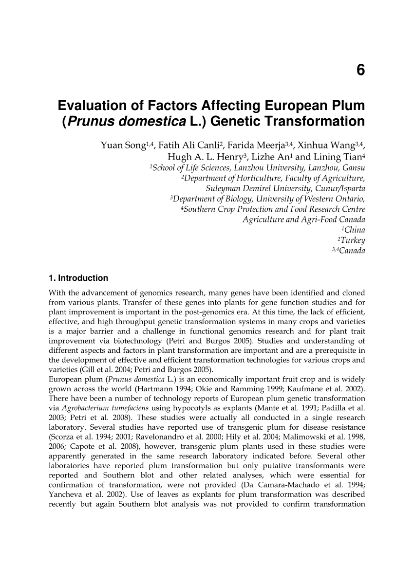 PDF Evaluation of Factors Affecting European Plum Prunus ...