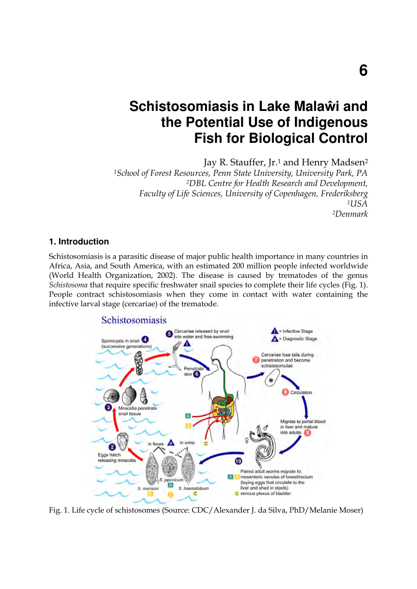 schistosomiasis malawi-tó)