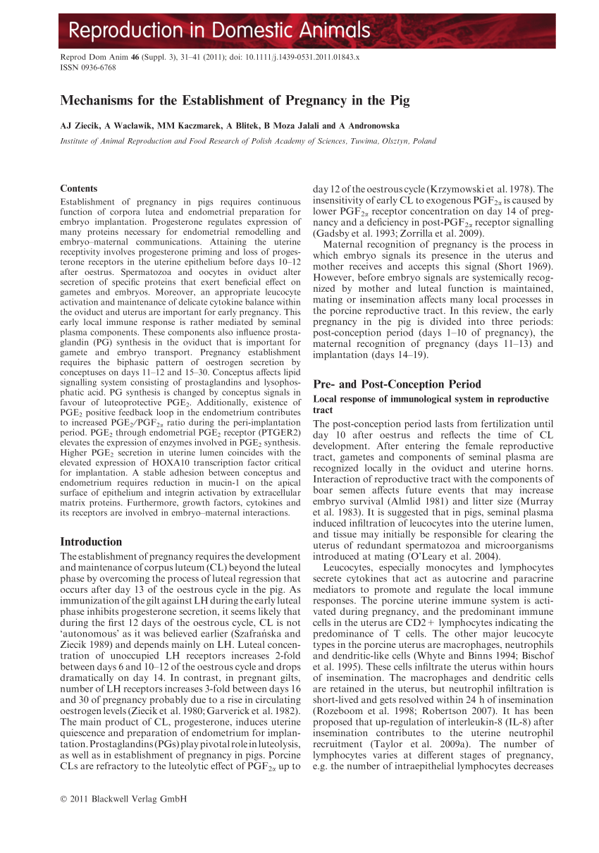 PDF) Mechanisms for the Establishment of Pregnancy in the Pig