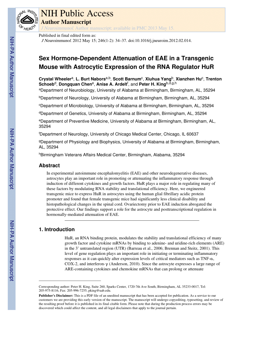Pdf Sex Hormone Dependent Attenuation Of Eae In A Transgenic Mouse 7265