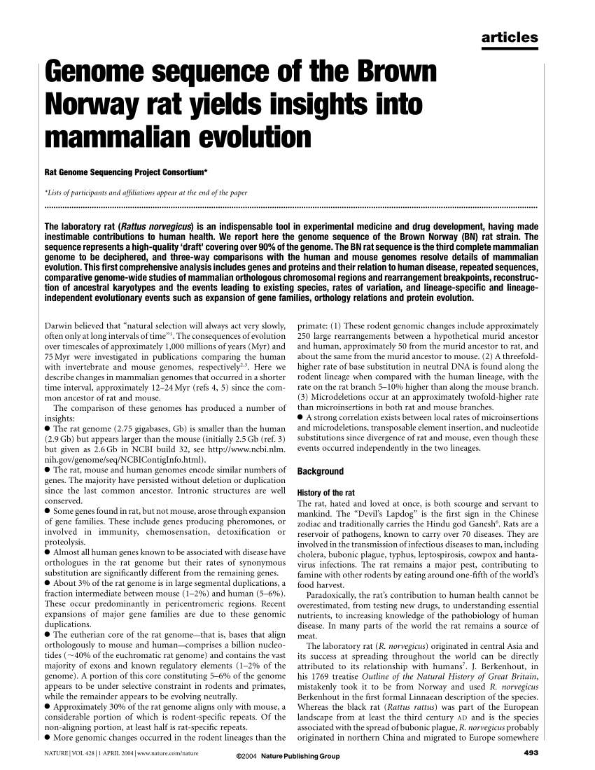 PDF) Genome sequence of the Brown Norway rat yields insights into ...