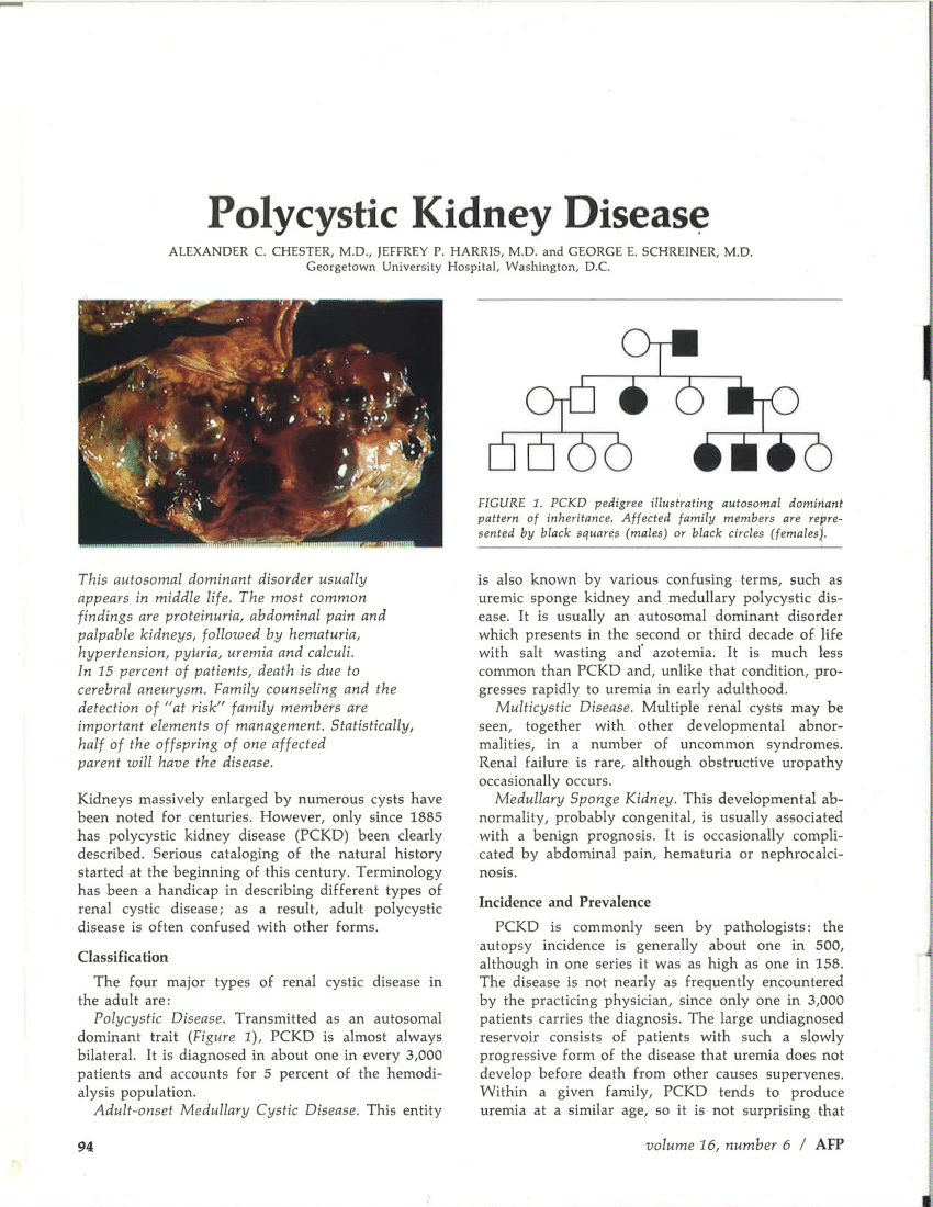 research articles kidney disease