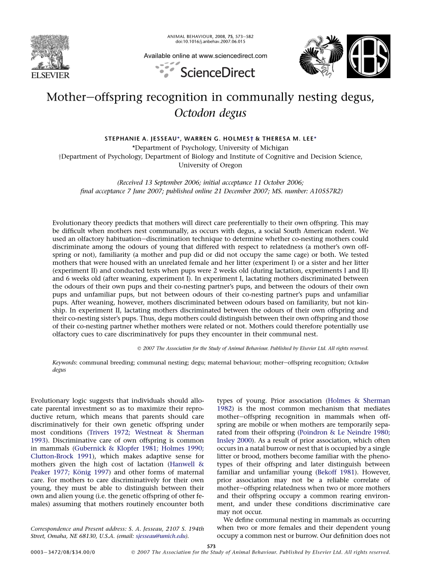 PDF Mother offspring recognition in communally nesting degus