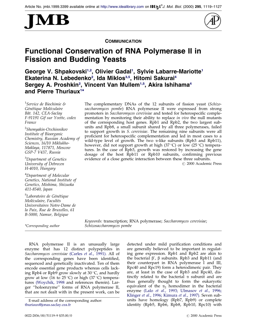 Pdf Functional Conservation Of Rna Polymerase Ii In Fission And Budding Yeasts