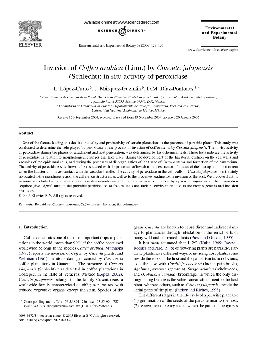 PDF) Invasion of Coffea arabica (Linn.) by Cuscuta jalapensis 