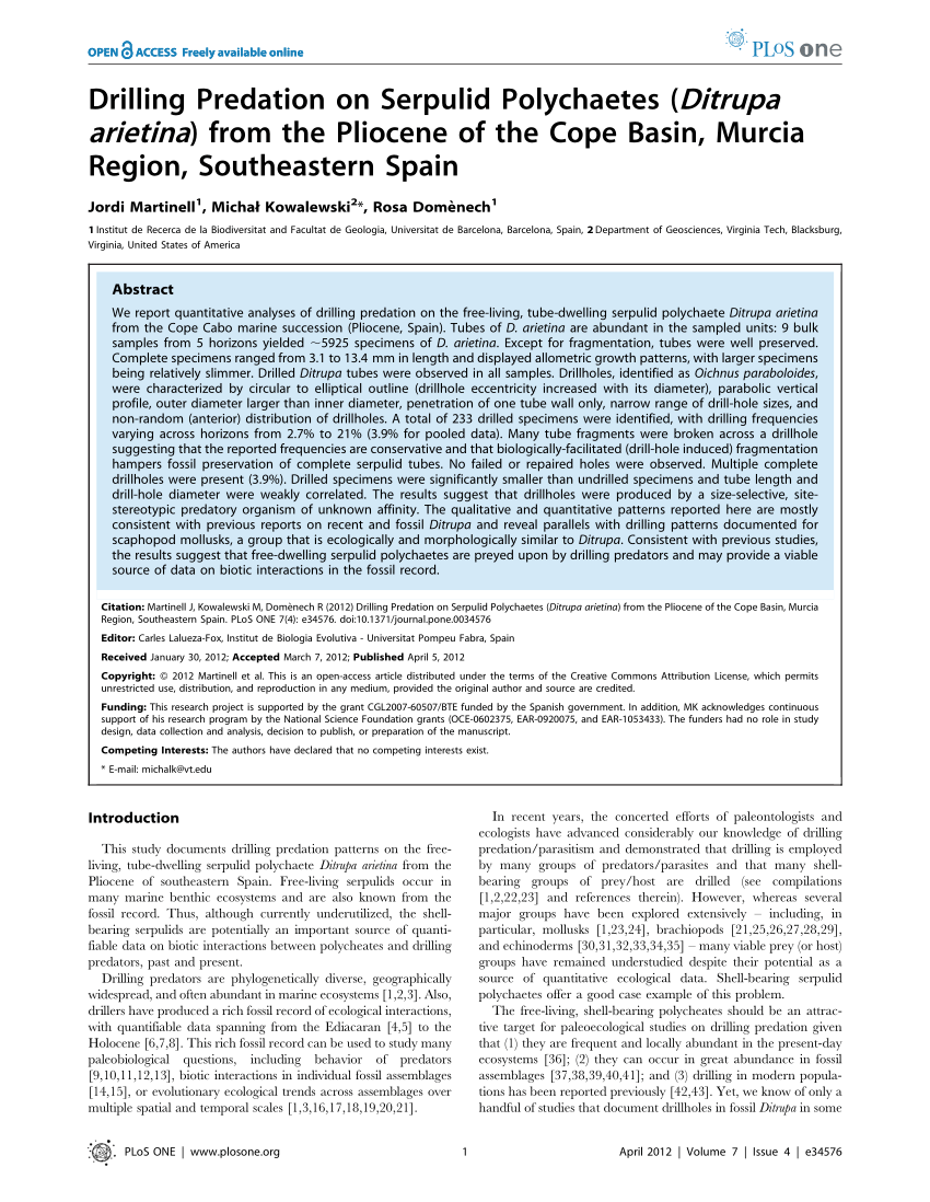 PDF) Drilling Predation on Serpulid Polychaetes (Ditrupa arietina) from the  Pliocene of the Cope Basin, Murcia Region, Southeastern Spain