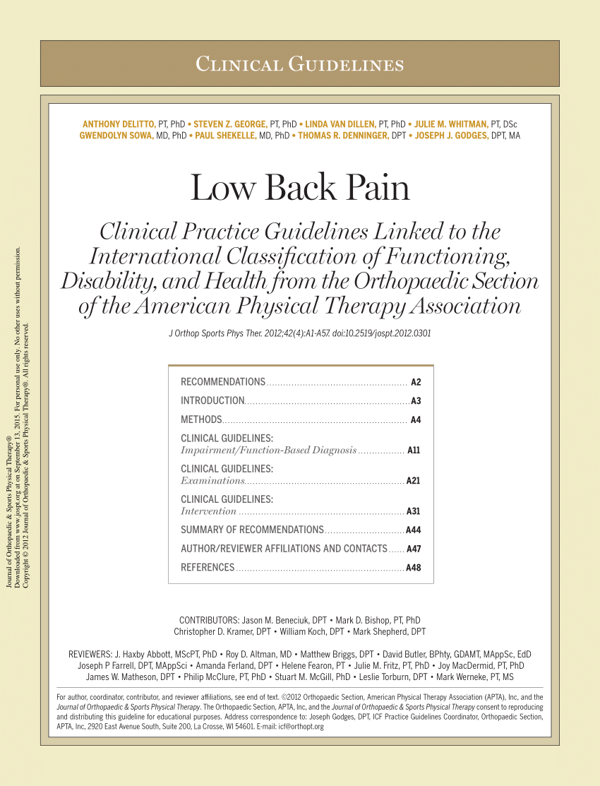 (PDF) Low back pain