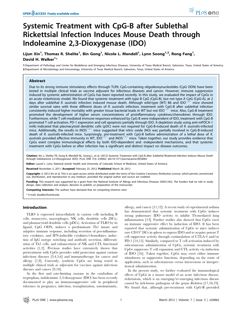 CIS-CPG Fragenpool