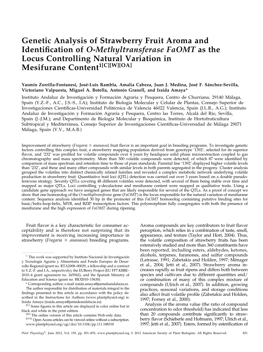 Pdf Genetic Analysis Of Strawberry Fruit Aroma And Identification Of O Methyltransferase Faomt As The Locus Controlling Natural Variation In Mesifurane Content