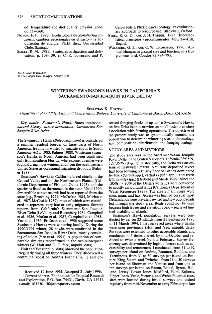 Pdf Wintering Swainson S Hawks In California S Sacramento San Joaquin River Delta