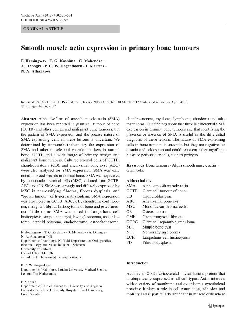 Pdf Smooth Muscle Actin Expression In Primary Bone Tumours