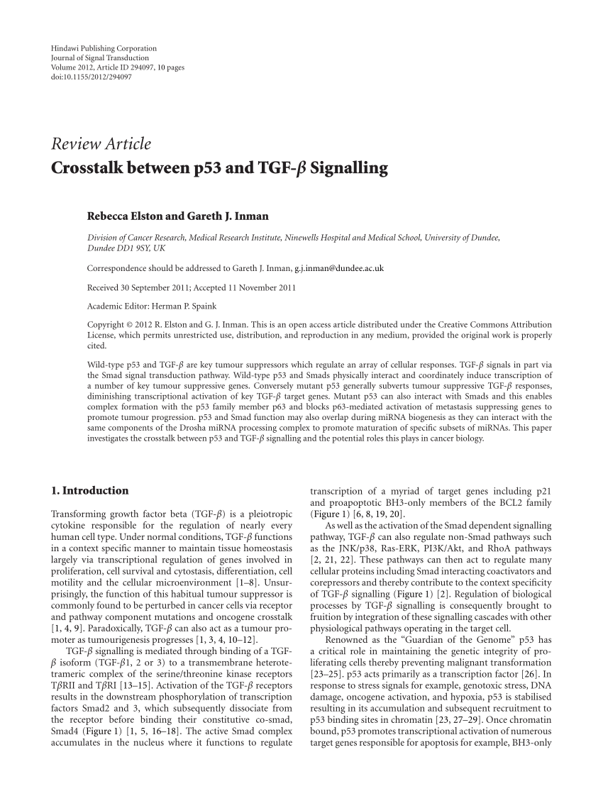 Pdf Crosstalk Between P And Tgf Signalling