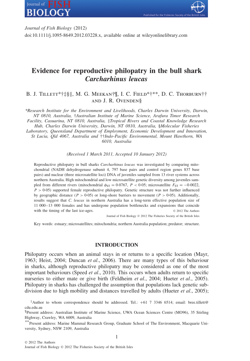 Pdf Evidence For Reproductive Philopatry In The Bull Shark Carcharhinus Leucas