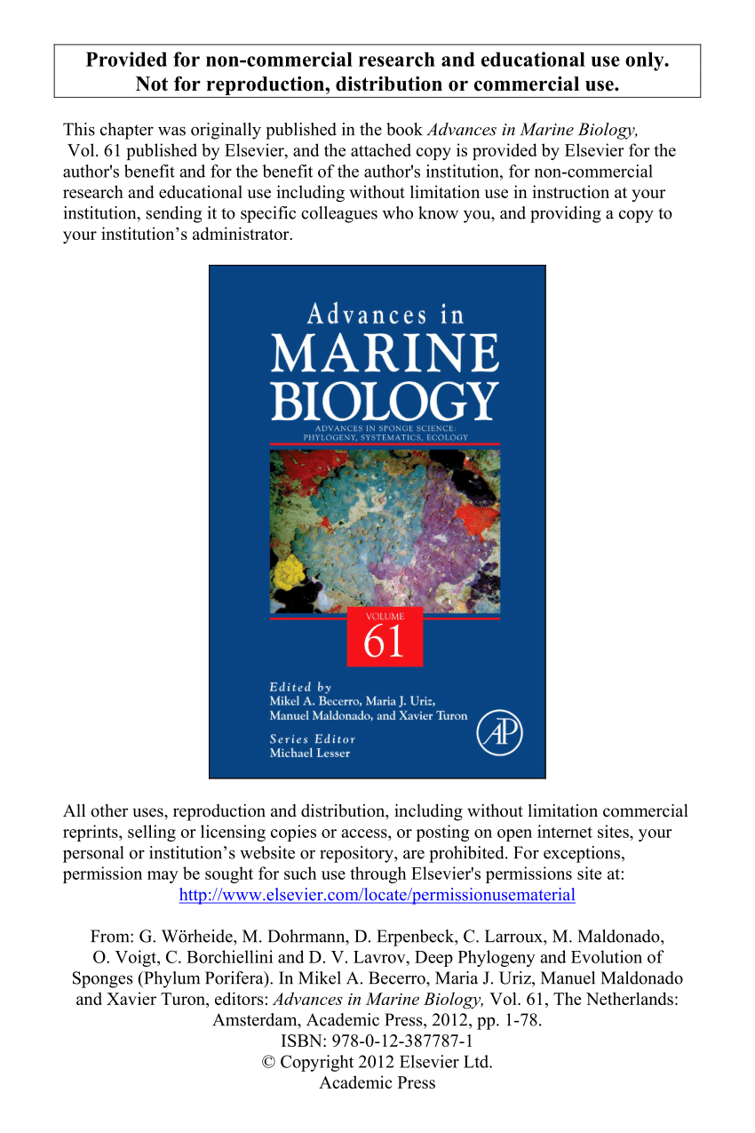 Pdf Deep Phylogeny And Evolution Of Sponges Phylum Porifera - 