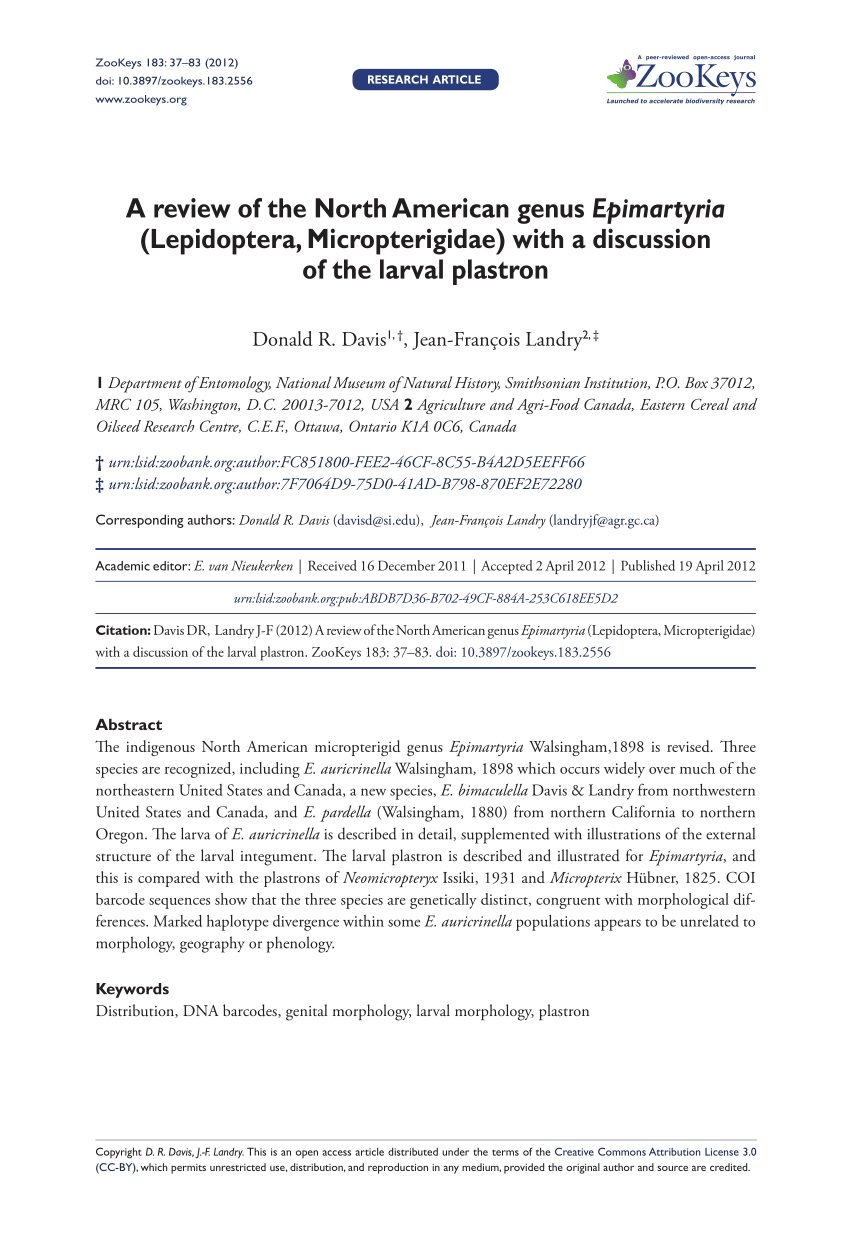 PDF) A review of the North American genus Epimartyria (Lepidoptera, Micropterigidae) with a discussion of the larval plastron