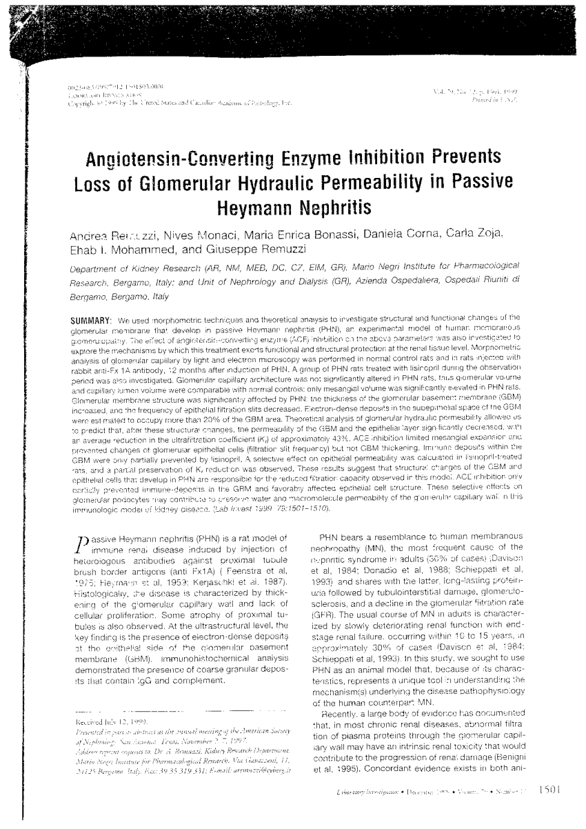 Pdf Angiotensin Converting Enzyme Inhibition Prevents Loss Of Glomerular Hydraulic Permeability In Passive Heymann Nephritis
