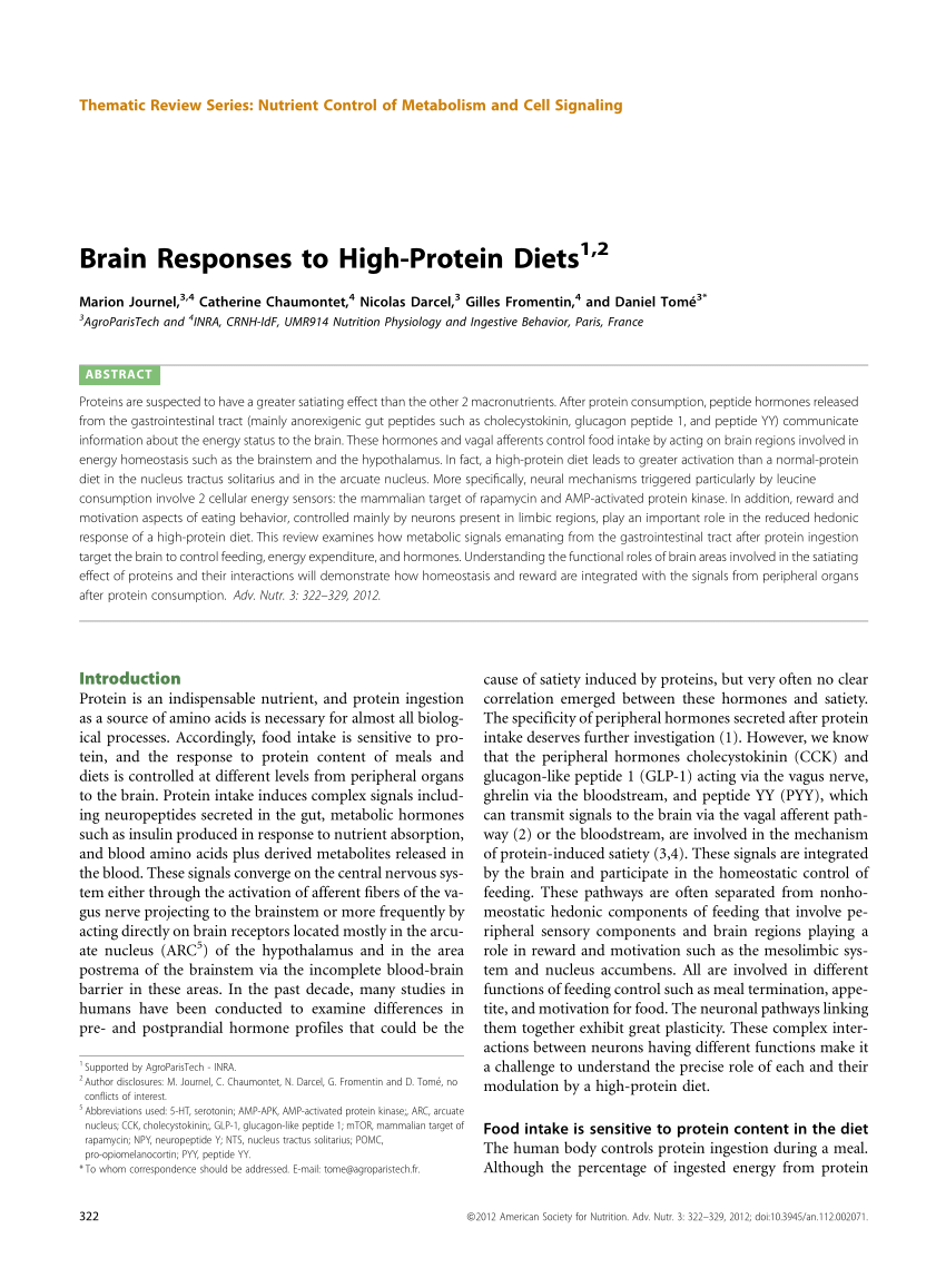 (PDF) Brain Responses to High-Protein Diets