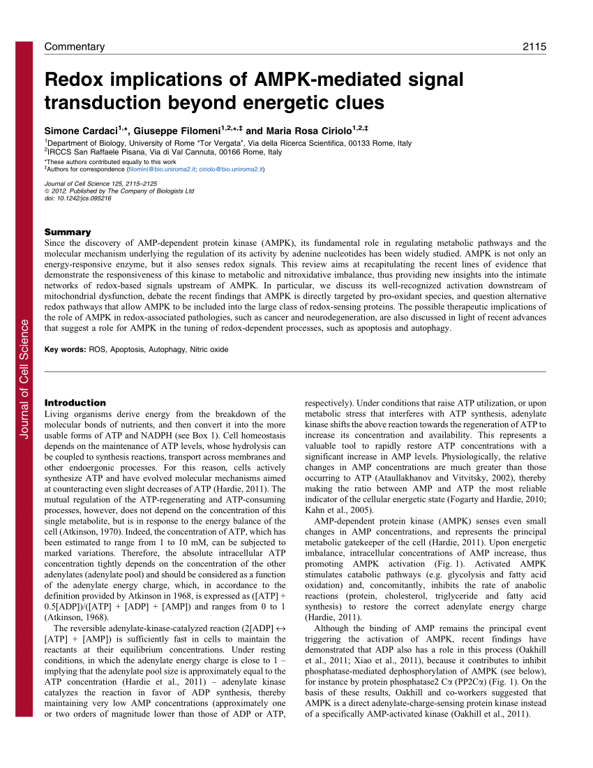 PDF) Redox implications of AMPK-mediated signal transduction 