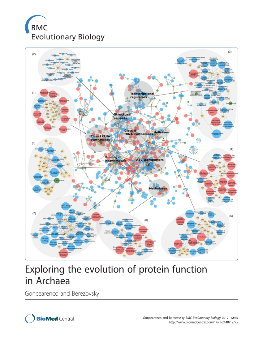 Pdf Exploring The Evolution Of Protein Function In Archaea 2679