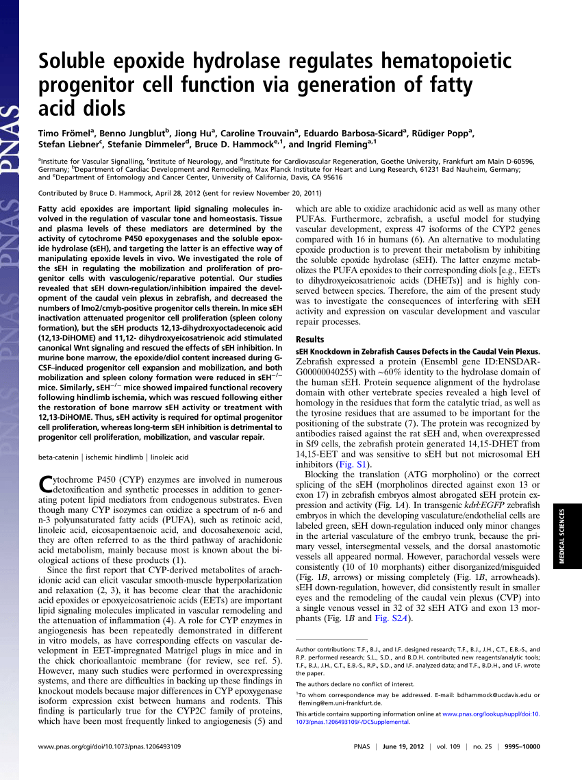 Pdf Soluble Epoxide Hydrolase Regulates Hematopoietic Progenitor Cell Function Via Generation Of Fatty Acid Diols