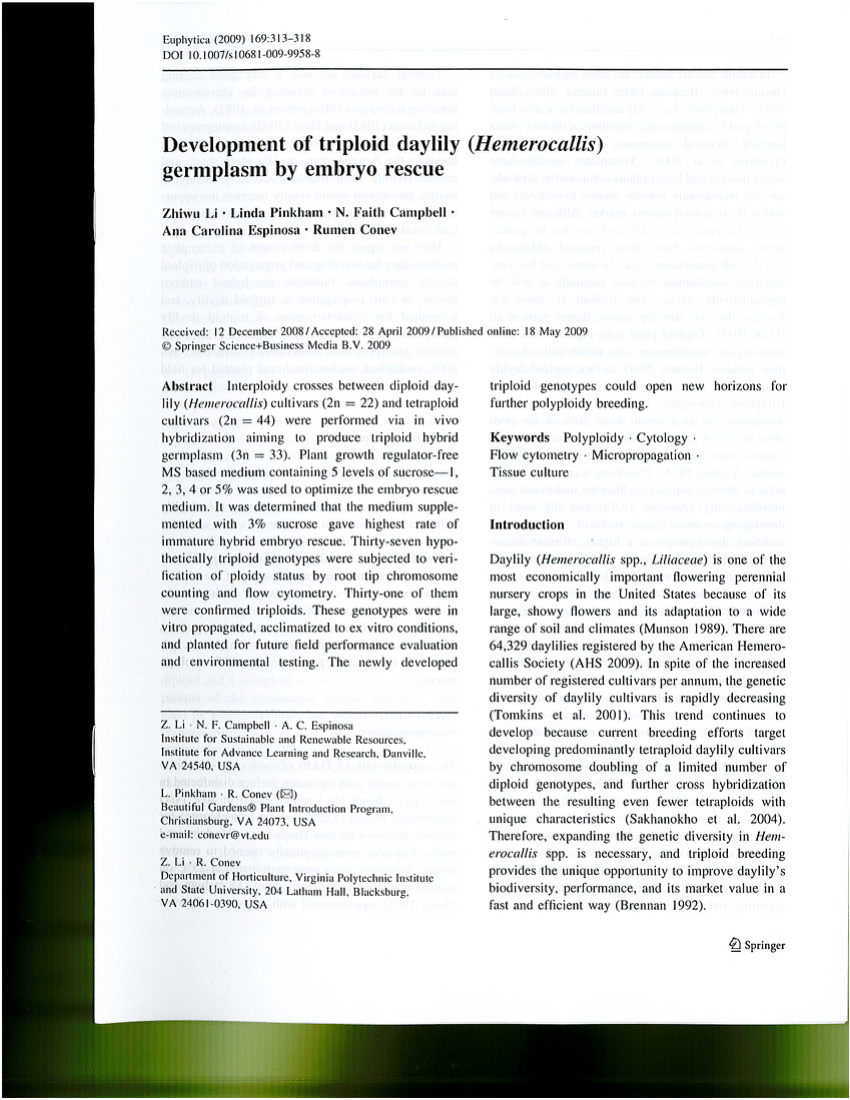 Pdf Development Of Triploid Daylily Hemerocallis Germplasm By
