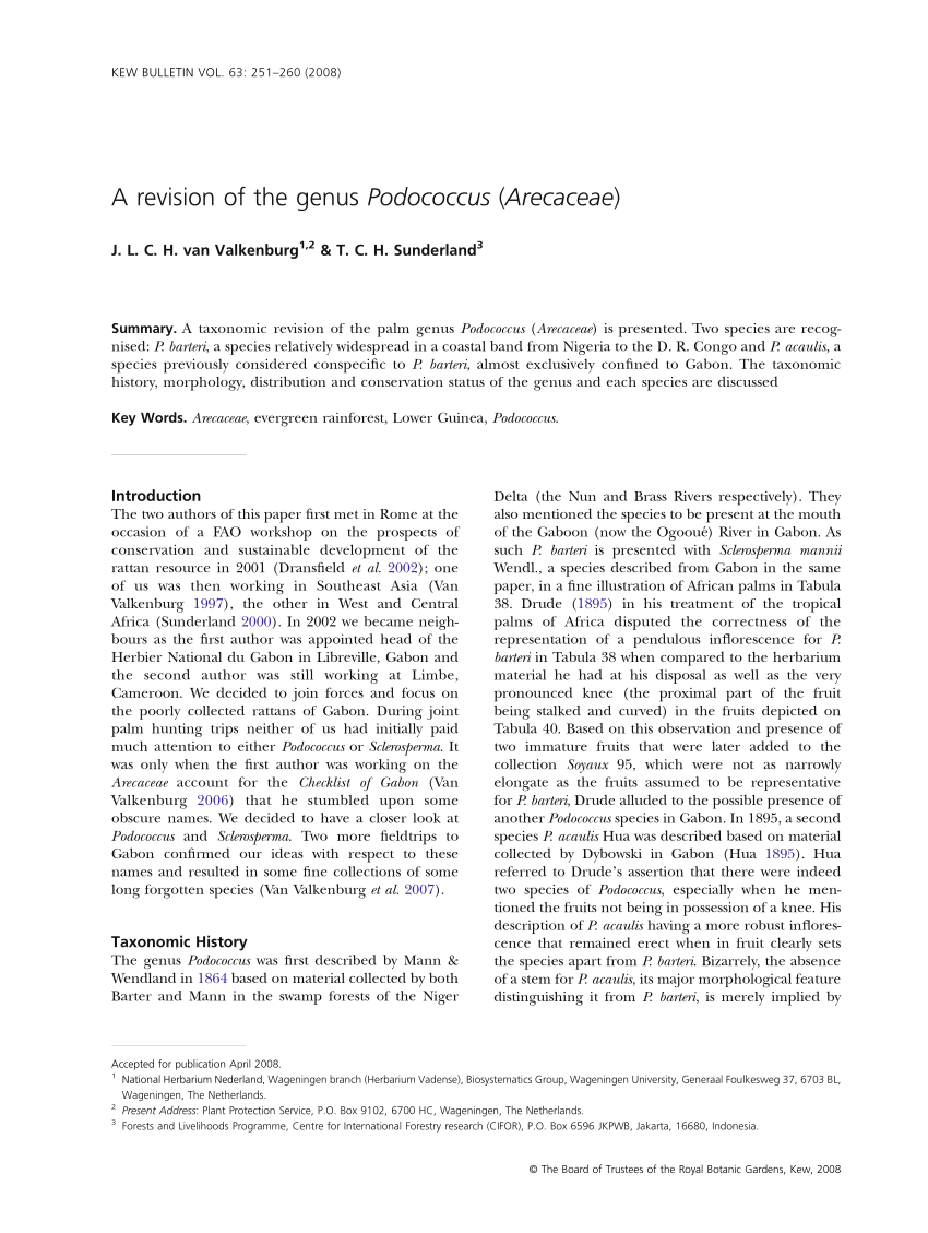 Pdf A Revision Of The Genus Podococcus Arecaceae
