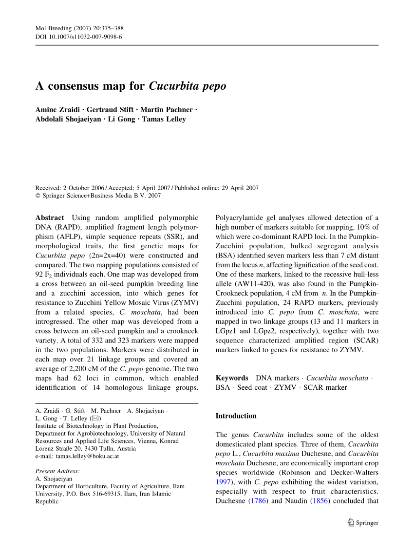 Pdf The Effect Of Hydro Alcoholic Extract Of Pumpkin Seeds On Estrogen Levels And Kidney Markers In Adult Female Rats