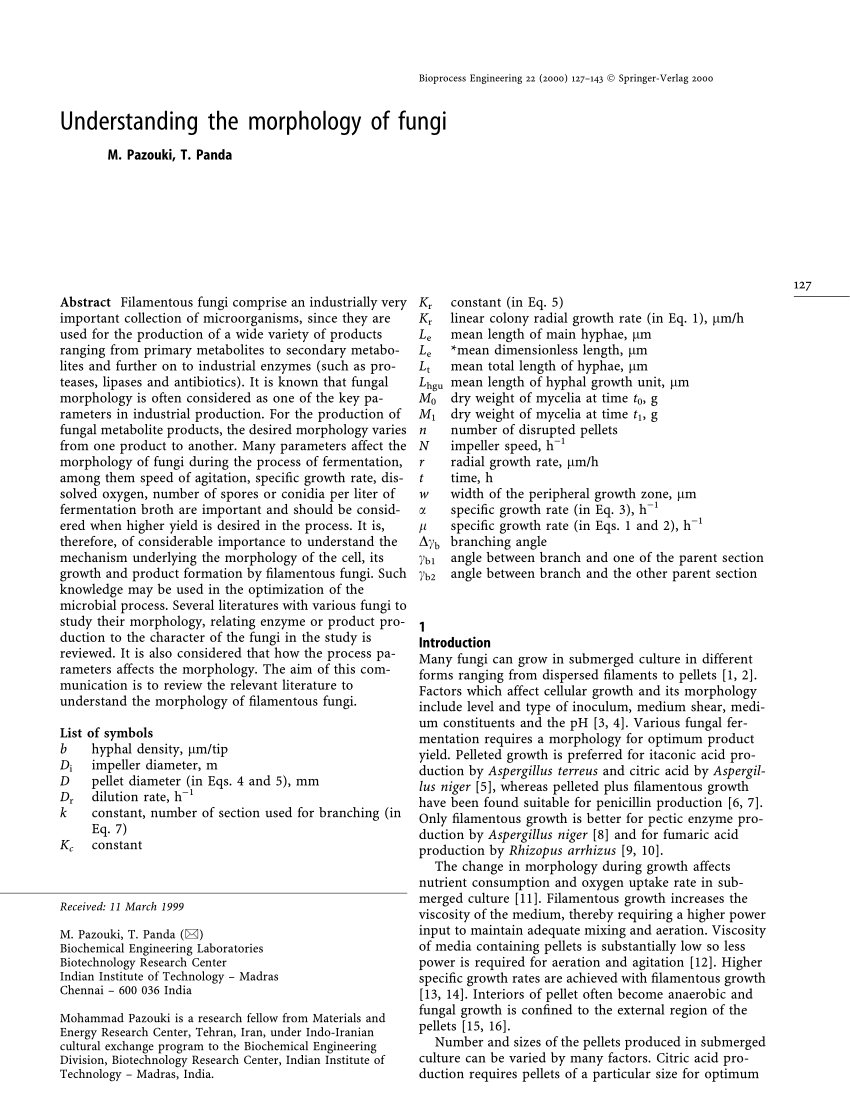 (PDF) Understanding the morphology of fungi