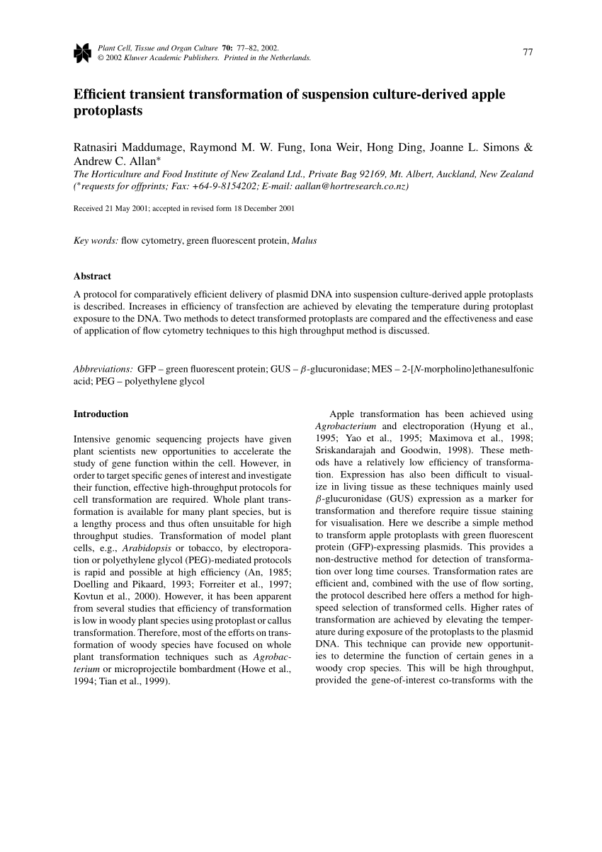 Pdf Efficient Transient Transformation Of Suspension Culture Derived Apple Protoplasts