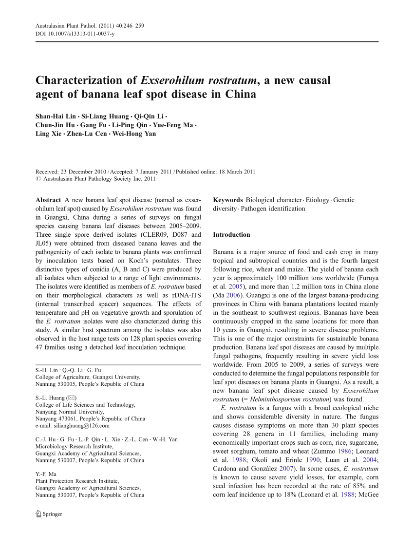 Pdf Characterization Of Exserohilum Rostratum A New Causal Agent Of