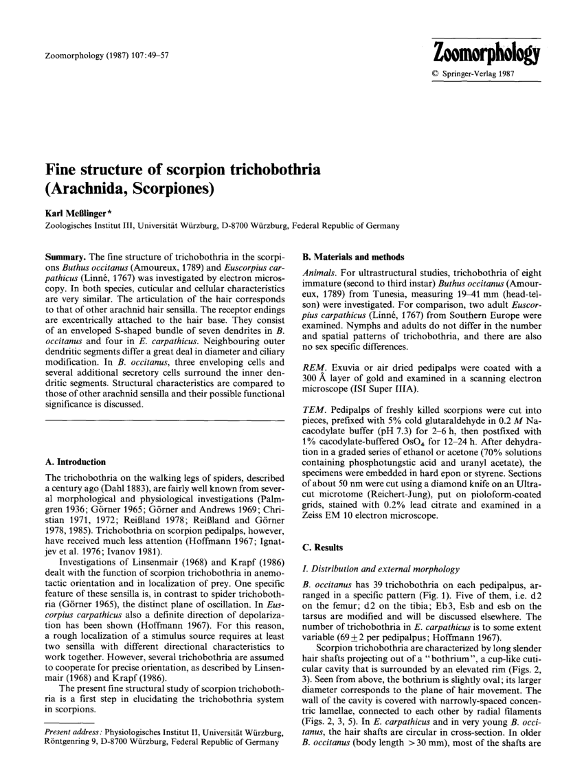 Pdf Fine Structure Of Scorpion Trichobothria Arachnida Scorpiones