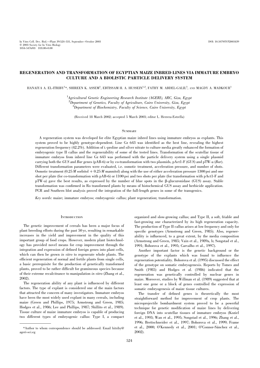 (PDF) Regeneration and transformation of Egyptian maize inbred lines