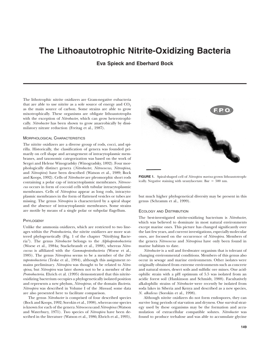 Pdf The Lithoautotrophic Nitrite Oxidizing Bacteria 6447