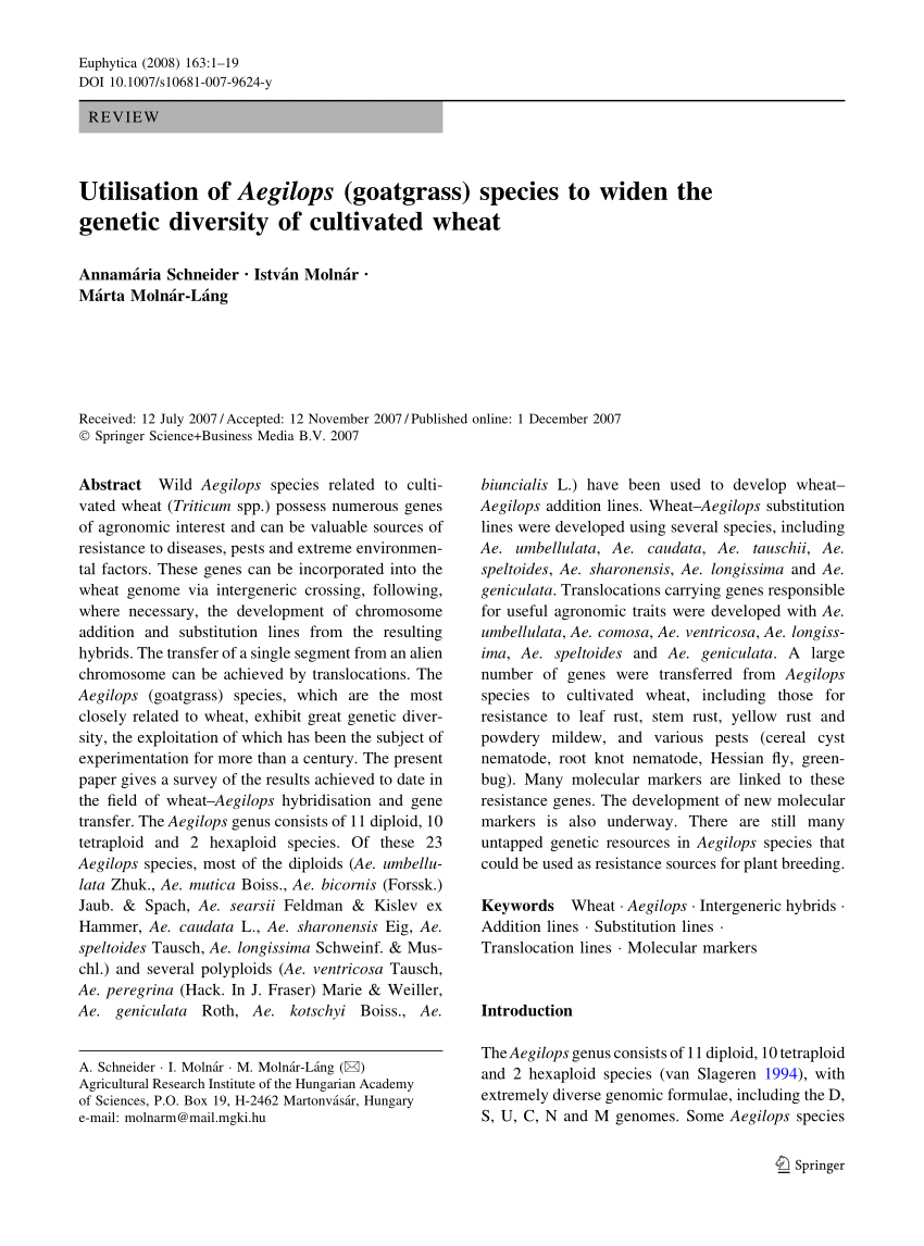 Pdf Utilisation Of Aegilops Goatgrass Species To Widen The Genetic Diversity Of Cultivated Wheat