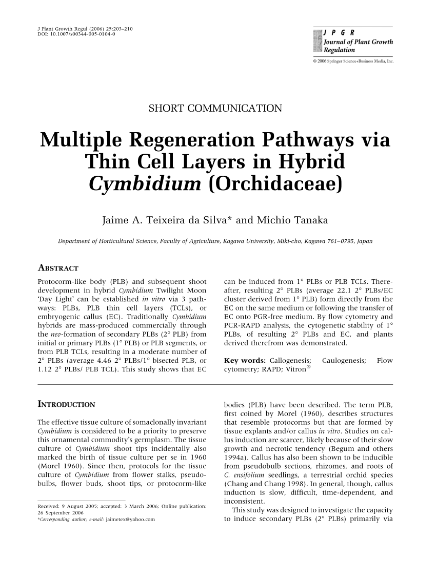 Pdf Multiple Regeneration Pathways Via Thin Cell Layers In Hybrid Cymbidium Orchidaceae