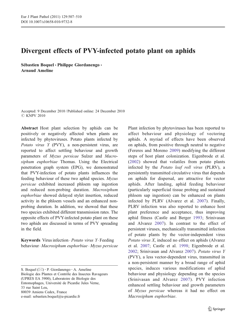 Pdf Divergent Effects Of Pvy Infected Potato Plant On Aphids