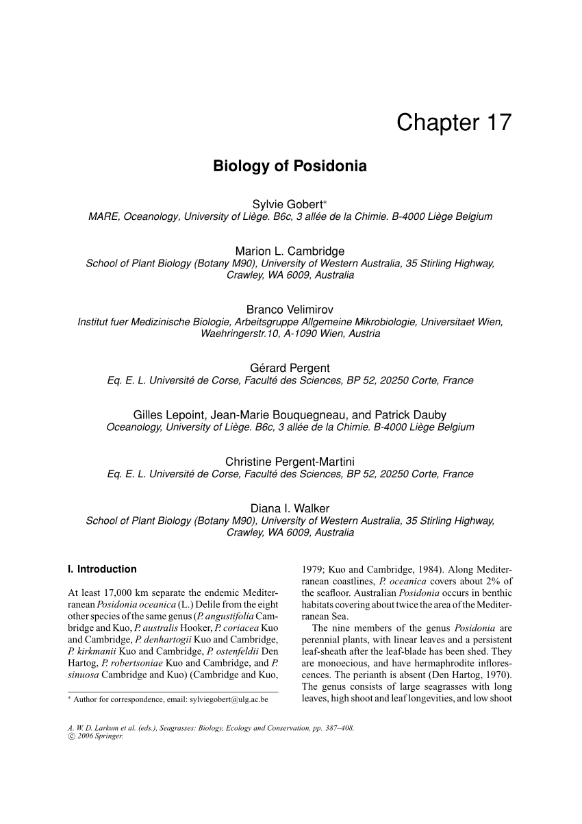 Pdf Biology Of Posidonia