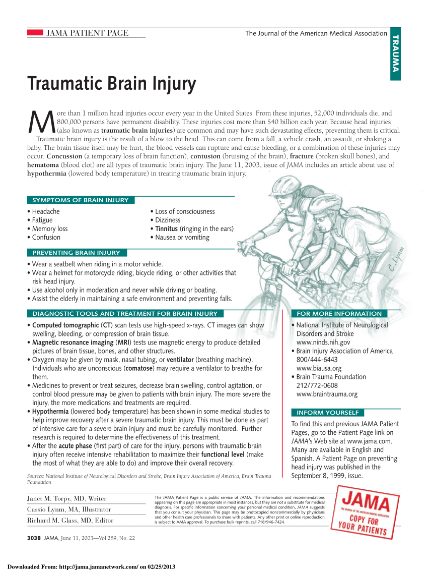 traumatic brain injury research paper