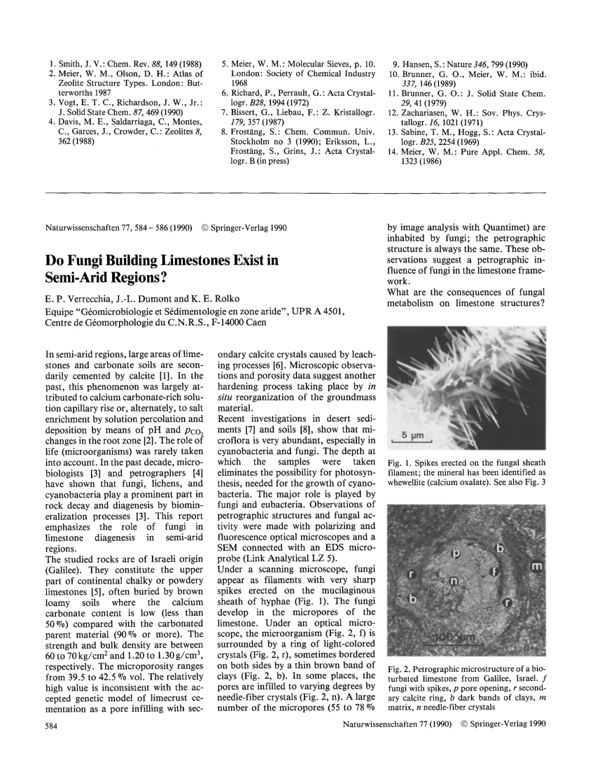 Pdf Do Fungi Building Limestone Exist In Semi Arid Regions Naturwissenschaften