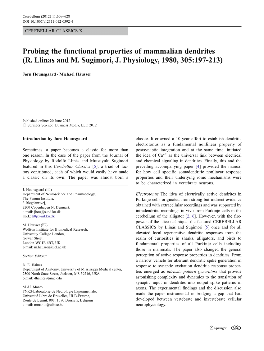 PDF) Probing the functional properties of mammalian dendrites (R ...