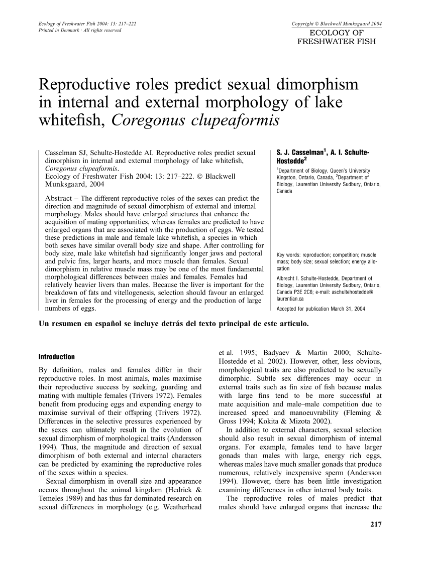 Pdf Reproductive Roles Predict Sexual Dimorphism In Internal And - if only this fit a biggerhead httpswwwrobloxcomcatalog