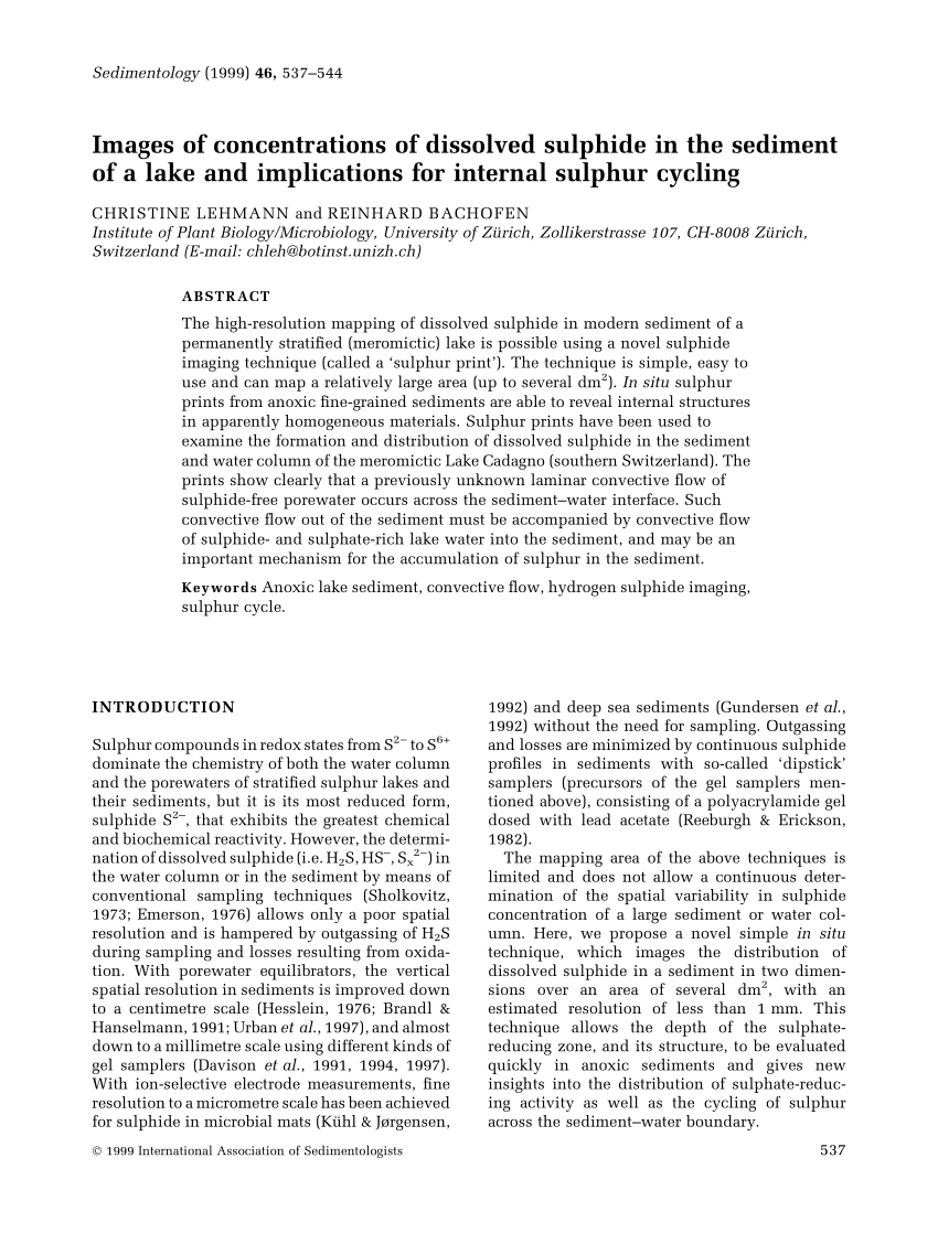 (PDF) Images of concentrations of dissolved sulphide in the sediment of