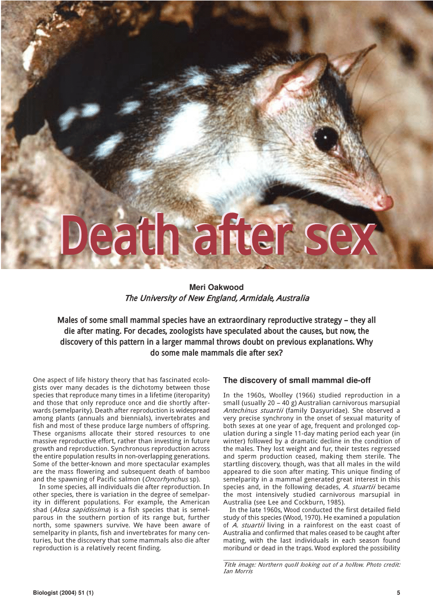 PDF) Death after sex