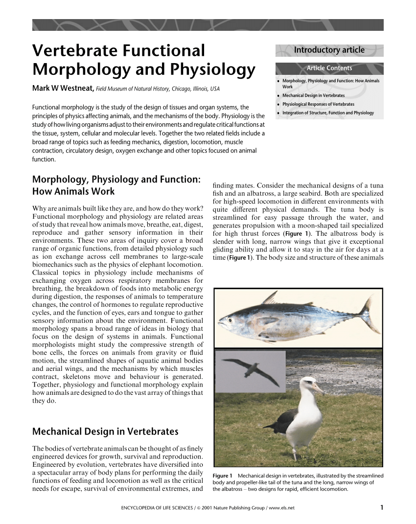 PDF) Vertebrate Functional Morphology and Physiology