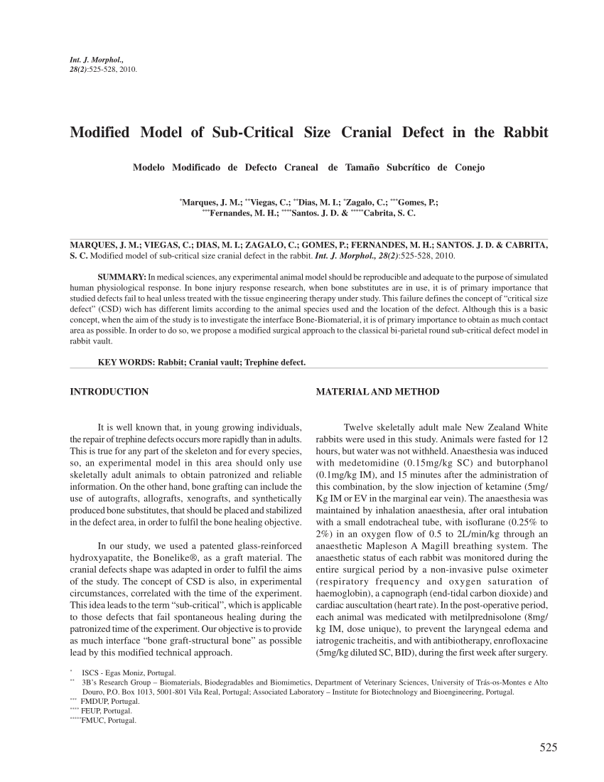 Pdf Modified Model Of Sub Critical Size Cranial Defect In The Rabbit Modelo Modificado De Defecto Craneal De Tamano Subcritico De Conejo